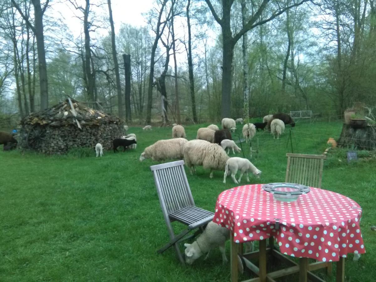 Ferienhof "Zum Spreewaeldchen" 布尔格 外观 照片