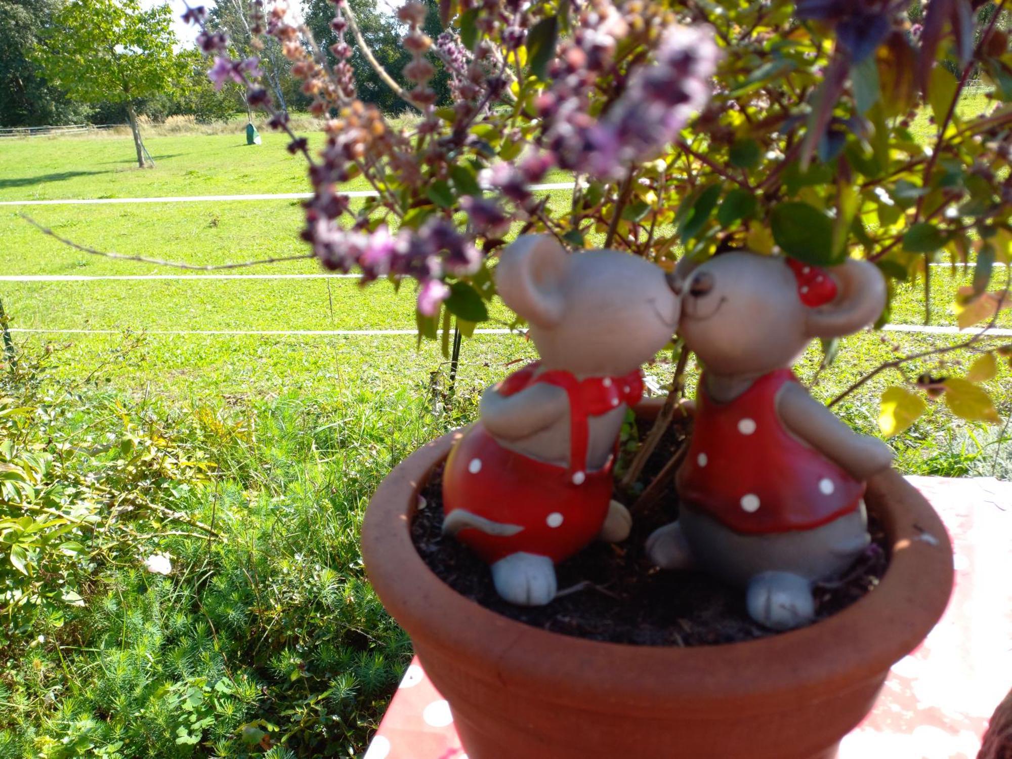 Ferienhof "Zum Spreewaeldchen" 布尔格 外观 照片