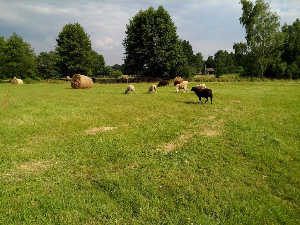 Ferienhof "Zum Spreewaeldchen" 布尔格 外观 照片